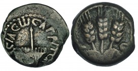 JUDEA. HERODES AGRIPA. Prutah. AE-17 (42-43 d.C.). A/ Sombrilla con flecos. R/ Tres espigas. SGI-5567. MBC-/MBC.
