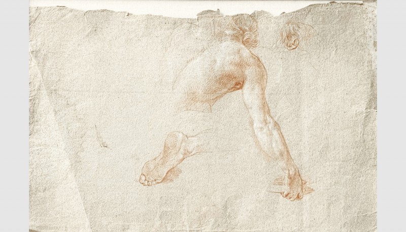 Pompeo Girolamo Batoni (Lucca 1708 - 1787 Rome). Studies of a torso, a head and ...