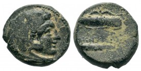 Kings of Macedon. Alexander III 'the Great' (336-323 BC). Ae
Condition: Very Fine

Weight: 6,22 gr
Diameter: 16,15 mm