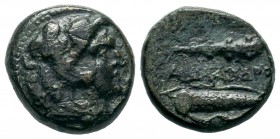 Kings of Macedon. Alexander III 'the Great' (336-323 BC). Ae
Condition: Very Fine

Weight: 6,30 gr
Diameter: 16,50 mm