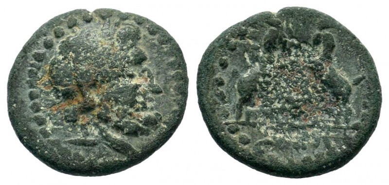 Pisidia Sagalassos Æ14 / Zeus / Two goats
Condition: Very Fine

Weight: 2,33 gr
...