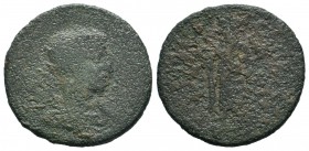 CILICIA. Tarsus. Gordian III (238-244). Ae. 
Condition: Very Fine

Weight: 19,43 gr
Diameter: 34,30 mm
