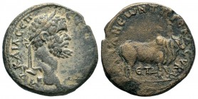 CAPPADOCIA, Tyana. Septimius Severus. 193-211 AD. Æ 
Condition: Very Fine

Weight: 15,47 gr
Diameter: 29,35 mm