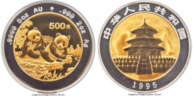 People's Republic bi-metallic gold & silver Proof Panda 500 Yuan (5 oz AU, 2 oz Ag) 1995 PR69 Ultra Cameo NGC, Shanghai mint, KM728, Cheng-pg. 169, 1,...