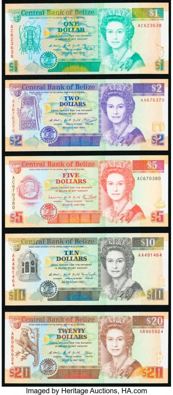 Belize Central Bank of Belize 1990-91 Group Lot of 5 Examples Crisp Uncirculated...