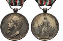 DECORAZIONI ITALIANE E STRANIERE
ROMA
Durante Vittorio Emanuele II, 1849-1878. Medaglia 1865 commemorativa delle Guerre per l’Indipendenza e l’Unità...
