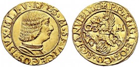 MONETE ITALIANE REGIONALI
MILANO
Galeazzo Maria Sforza, 1466-1476. Ducato, IV Tipo. Au gr. 3,51 G3 M SF VICECOS DVX MLI V Busto adulto corazzato a d...