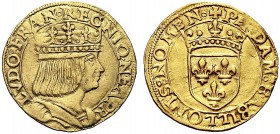 MONETE ITALIANE REGIONALI
NAPOLI
Luigi XII, re di Francia, 1501-1503. Ducato. Au gr. 3,46 LVDO FRAN REGNI Q NEAP R Busto a d., con berretto coronato...