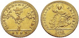 MONETE ITALIANE REGIONALI
ROMA
Pio VI (Giovanni Angelo Braschi), 1775-1799. Doppia romana 1793. Au gr. 5,43 Simile a precedente. M. 5c; B. 2953. BB