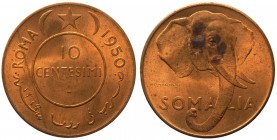 10 Centesimi 1950 - RAME ROSSO 
FDC