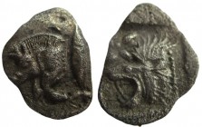 Hemiobol AR
Mysia, Kyzikos. c. 450-400 BC. AR Hemiobol, Forepart of boar left; to right, tunny upward / Head of roaring lion left; star to upper left...