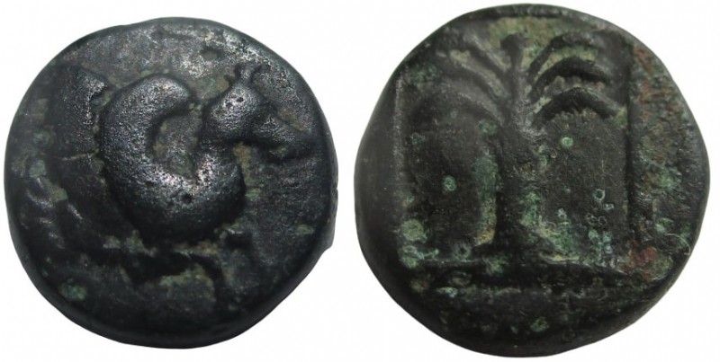 Bronze ÆTroas. Skepsis c. 400-300 BC. Pegasos Forepart Rhyton / Palm Σ -K
7 mm,...