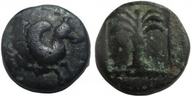 Bronze ÆTroas. Skepsis c. 400-300 BC. Pegasos Forepart Rhyton / Palm Σ -K
7 mm, 077 g