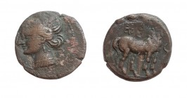 Bronze Æ
Zeugitania. Carthage, 221-202 BC
21 mm, 7,03 g