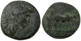 Bronze Æ
Macedon. Philippi. Augustus (27 BC-AD.14), AVG, bare head right / Two priests plowing with oxen right
16 mm, 5.52 g
RPC 1656; SNG Cop 282