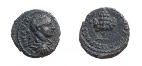 Bronze Æ
Nikopolis, Severus Alexander (222-235), Grape
16 mm, 3,10 g