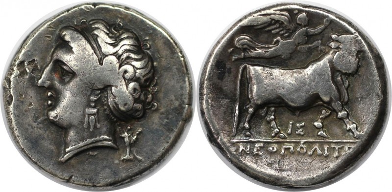 Griechische Münzen, KAMPANIEN. NEAPOLIS. Didrachme (7,21g). Circa 275 - 250 v. C...