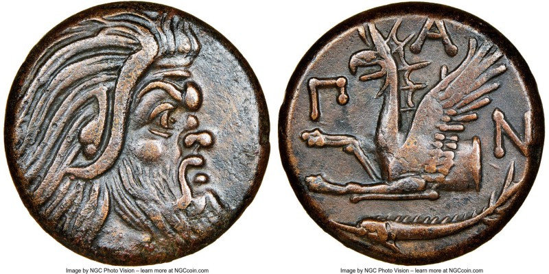 CIMMERIAN BOSPORUS. Panticapaeum. 4th century BC. AE (20mm, 11h). NGC Choice VF....
