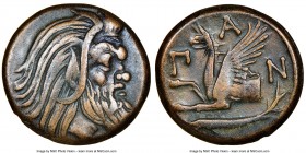 CIMMERIAN BOSPORUS. Panticapaeum. 4th century BC. AE (21mm, 11h). NGC Choice VF. Head of bearded Pan right / Π-A-N, forepart of griffin left, sturgeon...