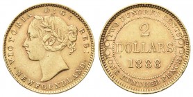 CANADA
Newfoundland. Regina Vittoria, 1865-1888.. 2 Dollari 1888.
Au gr. 3,34
.Dr. Testa laureata a s.
Rv.Valore entro cerchio perlinato.
KM#5; F...
