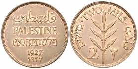 PALESTINA
Mandato Britannico.. 50 Mils 1935.
Æ 
Dr. Triplice legenda in arabo, inglese ed ebraico con data.
Rv. Ramo di ulivo e valore.
KM#2.
q....
