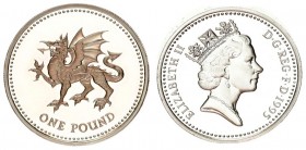 Great Britain 1 Pound 1995 Elizabeth II(1952-). Averse: Crowned head right. Reverse: Welsh dragon left. Silver. KM 969a. With Origanal Box & Certifica...