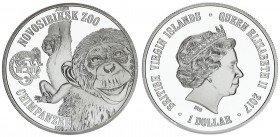 Great Britain British Virgin Islands 1 Dollar 2017 Novosibirsk Zoo Chimpanzee. Averse: Bust of Queen Elizabeth II to right. Lettering: BRITISH VIRGIN ...