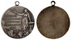 Poland Silver Medal 1911 Food Industry Exhibition in Warsaw. The Industrial and Food Exhibition in Warsaw in 1911 a one-sided medal made at the J. Chy...