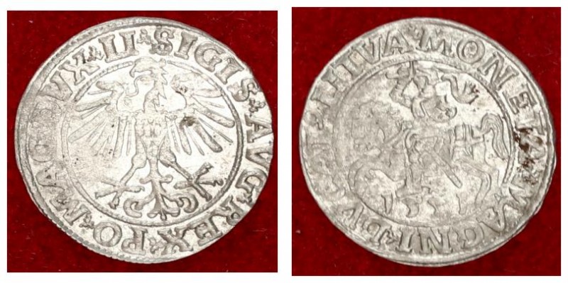 Lithuania 1/2 Grosz 1551 Vilnius Sigismund II Augustus (1545-1572) Lithuanian co...