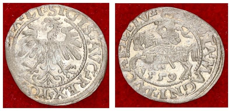 Lithuania 1/2 Grosz 1559 Vilnius Sigismund II Augustus (1545-1572) Lithuanian co...