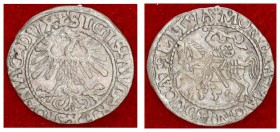 Lithuania 1/2 Grosz 1559 Vilnius Sigismund II Augustus (1545-1572) Lithuanian coins 1559 Vilnius. Ending of inscriptions L / LITVA. Silver. Cesnulis-I...