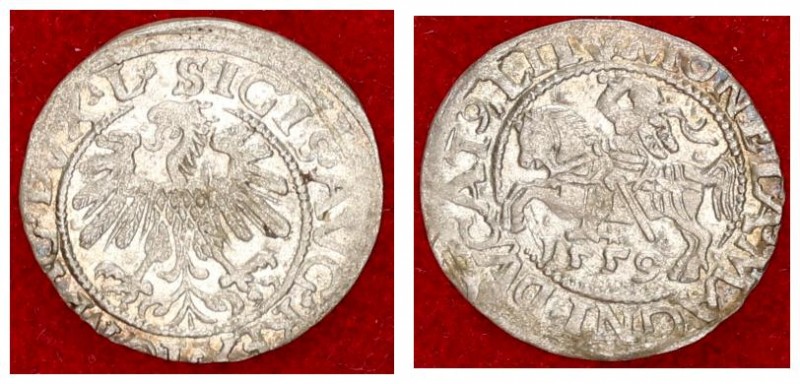 Lithuania 1/2 Grosz 1559 Vilnius Sigismund II Augustus (1545-1572) Lithuanian co...