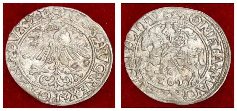 Lithuania 1/2 Grosz 1561 Vilnius Sigismund II Augustus (1545-1572) Lithuanian co...