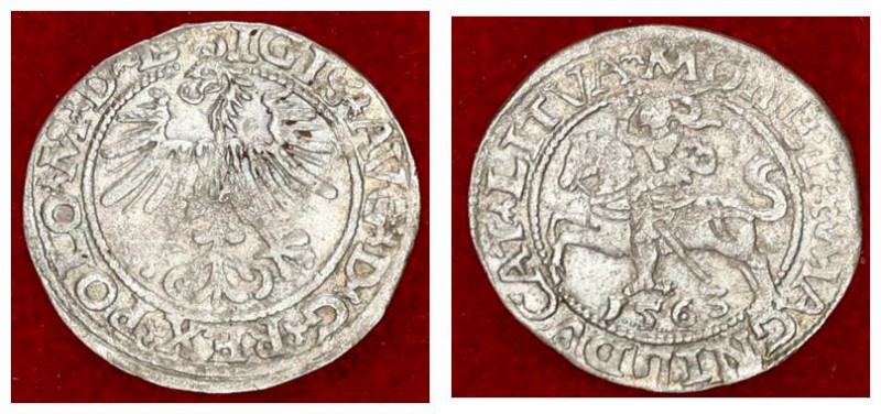 Lithuania 1/2 Grosz 1563 Vilnius Sigismund II Augustus (1545-1572) Lithuanian co...