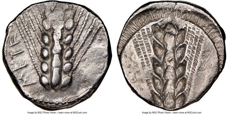 LUCANIA. Metapontum. Ca. 470-440 BC. AR stater (19mm, 7.72 gm, 12h). NGC Choice ...
