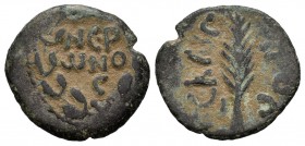 Judea. Procurador Porcius Festus. Prutah. 56-62 d.C. Jerusalem. Ae. 1,96 g. BC+. Est...50,00.