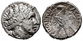 Egipto Ptolemaico. Cleopatra VII. Tetradracma. 51-30 a.C. Alejandría. Ag. 9,20 g. MBC-. Est...100,00.