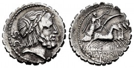 Antonia. Denario. 83-82 a.C. Taller Auxiliar de Roma. (Ffc-156). (Craw-364-1d). (Cal-156). Rev.: Victoria en cuadriga a derecha, con palma y corona de...