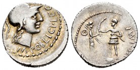 Pompeyo Magno. Denario. 46-45 a.C. Hispania. (Ffc-1). (Craw-469a). (Cal-1146). Anv.: Cabeza de Palas a derecha. Todo el borde formado por puntos y ray...