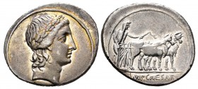Augusto. Denario. 29-27 a.C. ¿Roma?. (Ffc-92). (Ric-272). (Ch-117). Anv.: Cabeza laureada de Apolo a derecha. Rev.: Augusto conduciendo dos bueyes a d...