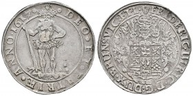 Alemania. Brunswick-Wolfenbuttel. Friedrich Ulrich. 1 thaler. 1617. (Dav-6303). Ag. 28,86 g. Tono. MBC+. Est...350,00.