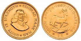 Sudáfrica. 1 rand. 1967. (Km-63). Au. 4,01 g. SC. Est...170,00.
