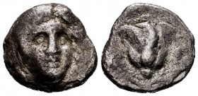 Caria. Rodas. Didracma. 340-275 a.C. (Seaby-5037). Ag. 6,07 g. BC. Est...20,00.