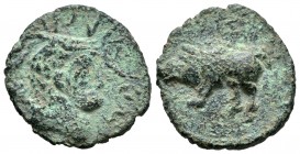 Numidia. Macomada. AE 21. 46 a.C. (Gc-6624 variante). Anv.: Cabeza del dios Chusor Phtah a derecha. Rev.: Jabalí a izquierda, encima leyenda fenicia M...