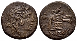 Pontos. Amisos. AE 20. 85-65 a.C. (Gc-3640). (SNG BM Black Sea-1201). Anv.: Cabeza coronada de Dionisos joven a la derecha. Rev.: Piel de pantera y ti...