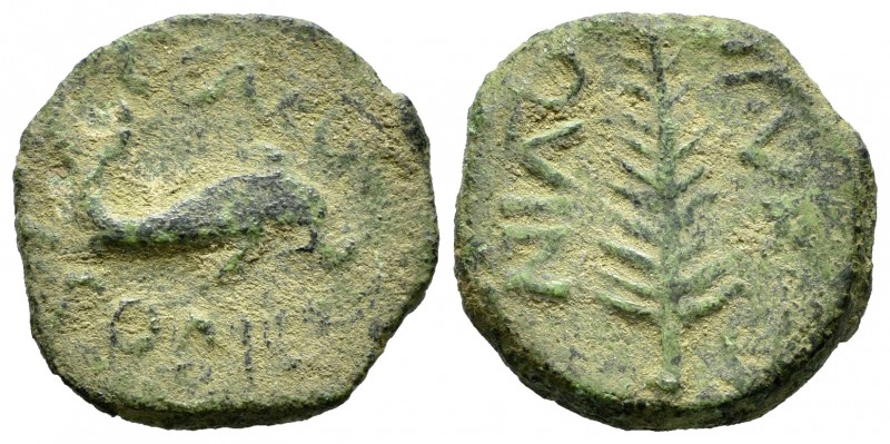 Cartagonova. Semis. 50-30 a.C. Cartagena (Murcia). (Abh-570). (Acip-2526). Anv.:...