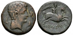 Seteisken. As. 120-20 a.C. Sástago (Zaragoza). (Abh-2207). (Acip-1466). Anv.: Cabeza masculina a derecha, rodeada de tres delfines. Rev.: Jinete con p...