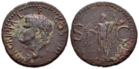 Agripa. Dupondio. 37-41 d.C. Roma. (Spink-1812, como As). (Ric-58). Rev.: S C. Neptuno en pie a izquierda con tridente y delfín. Ae. 10,15 g. Rayas. M...