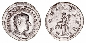 Gordiano III
Antoniniano. AR. (238-244). R/AEQVITAS AVG. 4.70g. RIC.63. MBC+.