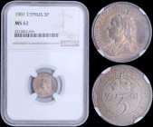 CYPRUS: 3 Piastres (1901) in silver (0,925) with crowned bust of Queen Victoria facing left. Crown over denomination divides date on reverse. Inside s...